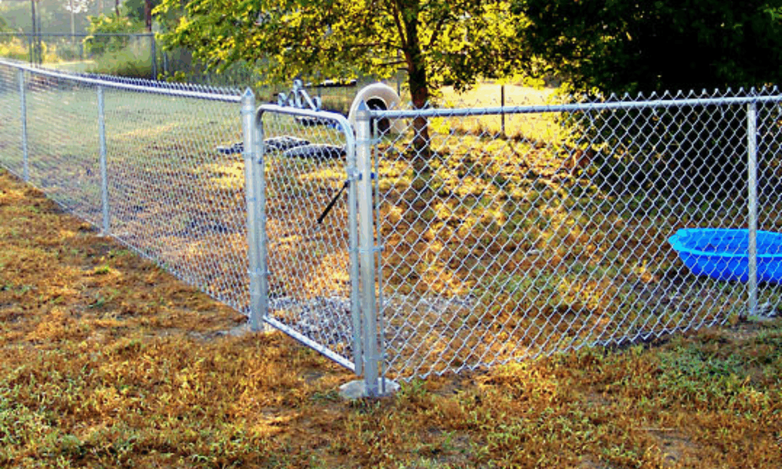 Chain Link Fence scaled
